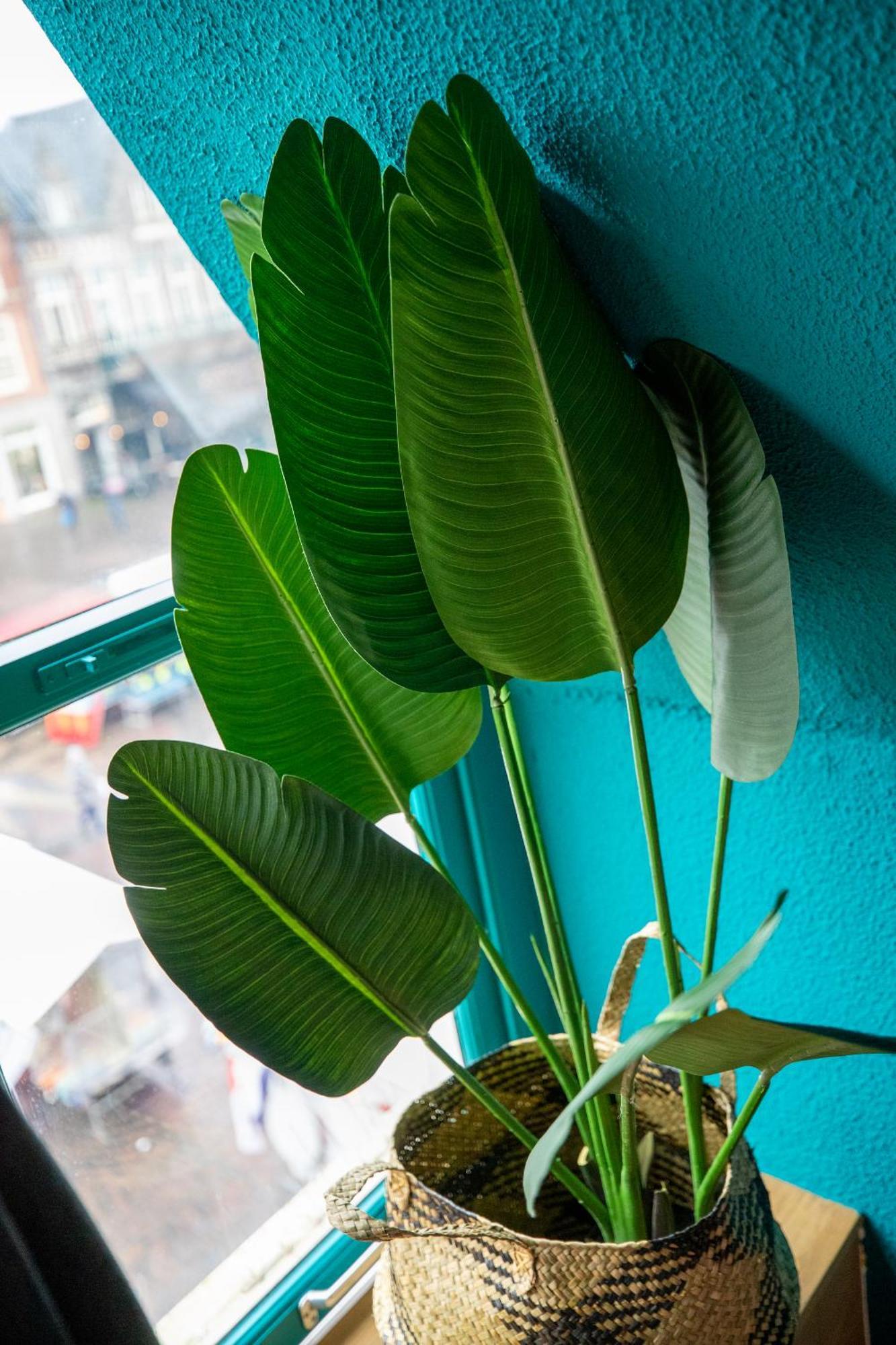 Hotel Bambu Sleep Boutique Haarlem